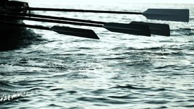 Close up on rowing oars silhouette paddling in water to win a team competition - Powered by Shutterstock - Get 15% off with code: PIKWIZARD15