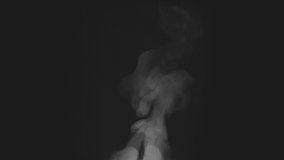 Steam from a Cup of Hot Drink. White steam rises light, graceful twists on a black background. The jet lifted out of the cup of hot water. Shooting at a rate of 120fps - Powered by Shutterstock - Get 15% off with code: PIKWIZARD15