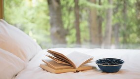 Opened Pages of Book cinematic dolly slow motion shot on RED camera. Reading a book on weekend day. Scenic warm light on bed with green dense forest on motion background. Relaxing at countryside cabin - Powered by Shutterstock - Get 15% off with code: PIKWIZARD15