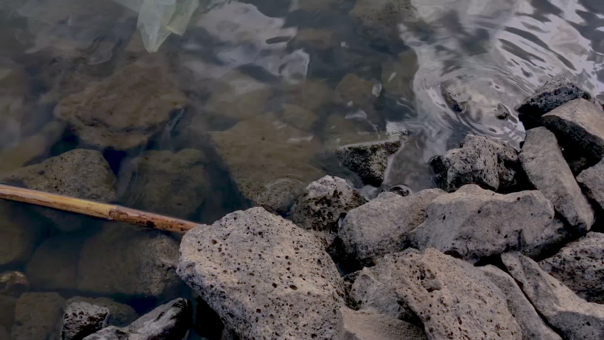 A plastic bag floating in river. environmental pollution, microplastic concept | Shutterstock HD Video #1096195109