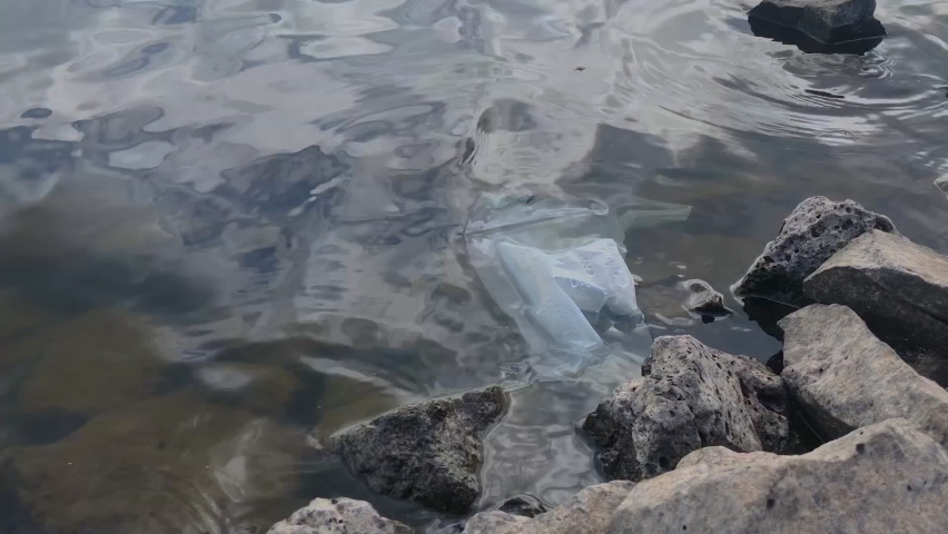 A plastic bag floating in river. environmental pollution, microplastic concept | Shutterstock HD Video #1096195111