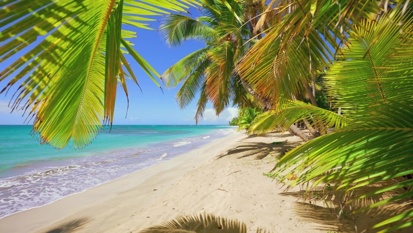 Exotic palm beach and turquoise sea on white sand. Vibrant green palms against a blue sky. Waves of the Caribbean Sea near the Dominican coast. Summer holidays in tropical paradise. Camera on the move Royalty-Free Stock Footage #1096199573