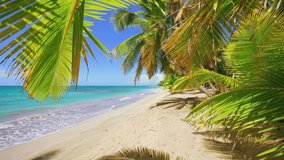 Exotic palm beach and turquoise sea on white sand. Vibrant green palms against a blue sky. Waves of the Caribbean Sea near the Dominican coast. Summer holidays in tropical paradise. Camera on the move - Powered by Shutterstock - Get 15% off with code: PIKWIZARD15