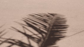 Abstract shadows and silhouettes of palm tree leaves moving in the wind, on brown asphalt road