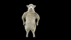 Sheep Dancing, Animal, 3d rendering, Animation Loop, cartoon,  included in the end of the clip with luma matte.