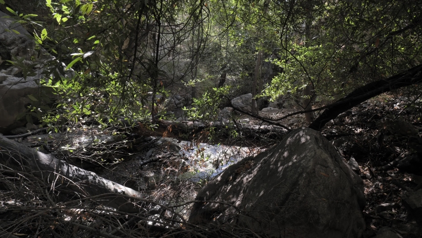 Mountain autumn landscape in California. Cedar creek. 