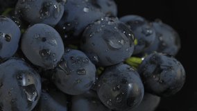 VERTICAL VIDEO, Close-up, Bunch of dark grapes with drops of water on black background. Camera moves upwards