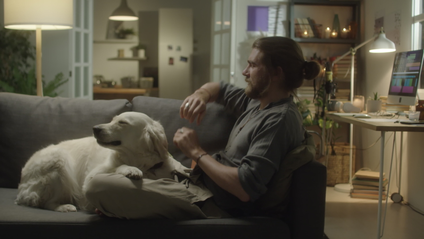 Zoom in shot of man resting on sofa and petting cute golden retriever while spending evening together with dog at home Royalty-Free Stock Footage #1096250363