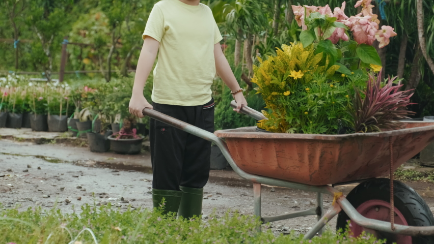 Tilt up portrait of little Asian boy in rubber boots and panama hat smiling at camera holding wheelbarrow with beautiful flowers in it at garden