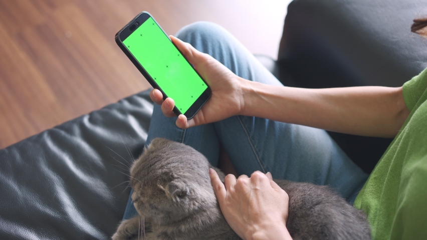 Asian attractive woman swiping mobile phone in living room at home. Beautiful happy female sitting on sofa, chatting on smartphone, stroking and play with domestic cat enjoy spend free time in house.