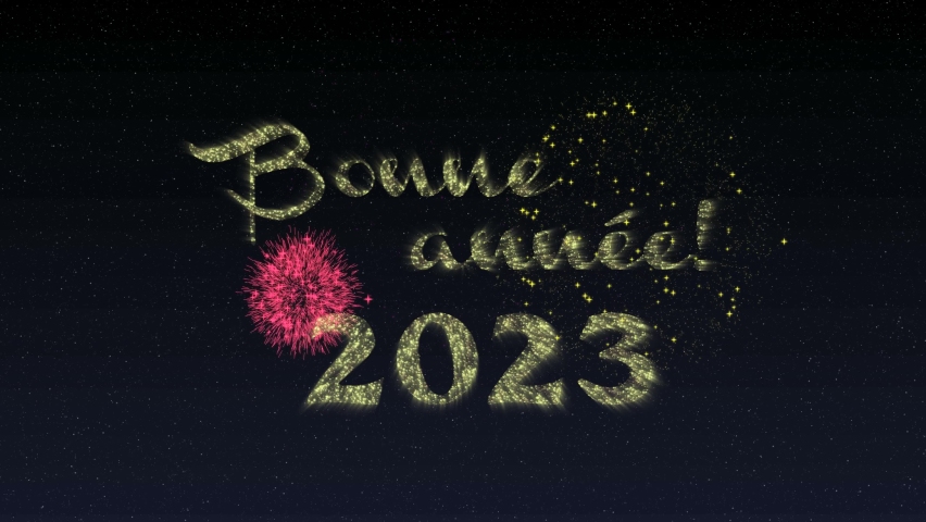 Bonne Annee (Happy New Year) 2023 - Fireworks  animation on Black background - Golden 2023. French Happy new year greetings on New Year's Eve  Royalty-Free Stock Footage #1096262701