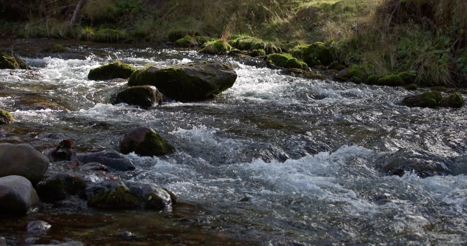 View of a beautiful autumn clear stream in the mountains in slow motion.