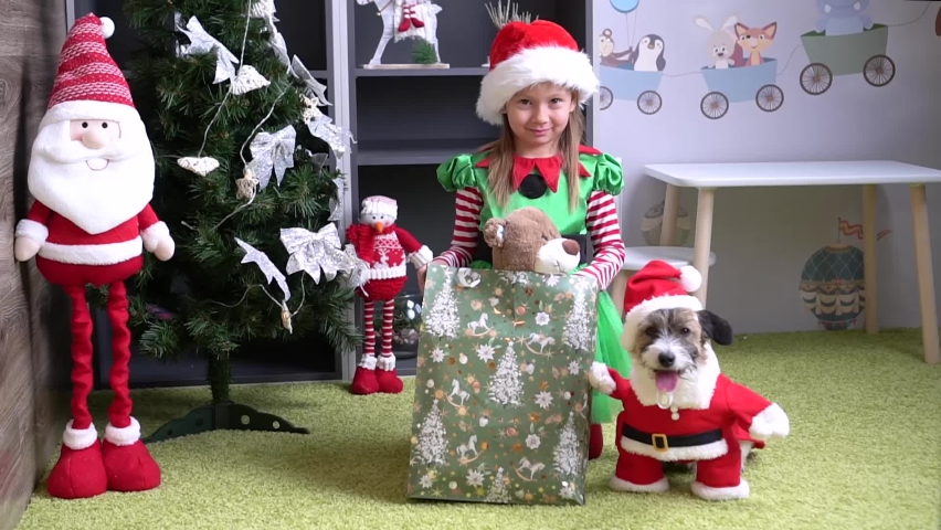 Funny and happy little girl in santa claus hat girl and dog in santa claus hat and coat next to christmas tree with gift at home. Happy new year and christmas.