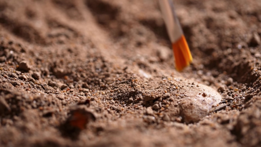 archaeology of bone with ancienct inscription