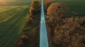 Autonomous Self-Driving Electric Car Driving on Road. Animated Visualization Sensor Scanning Road Ahead for Vehicles, Danger, Speed Limits. Artificial Intelligence Digitalizes and Analyzes Road Ahead. - Powered by Shutterstock - Get 15% off with code: PIKWIZARD15