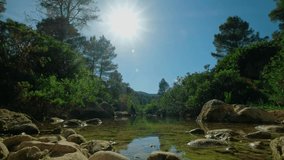 Beautiful nature landscape with a small lake and a sunbeams. Green pond and stones. Sunny nice weather. Blue sky. Horizontal video. 
