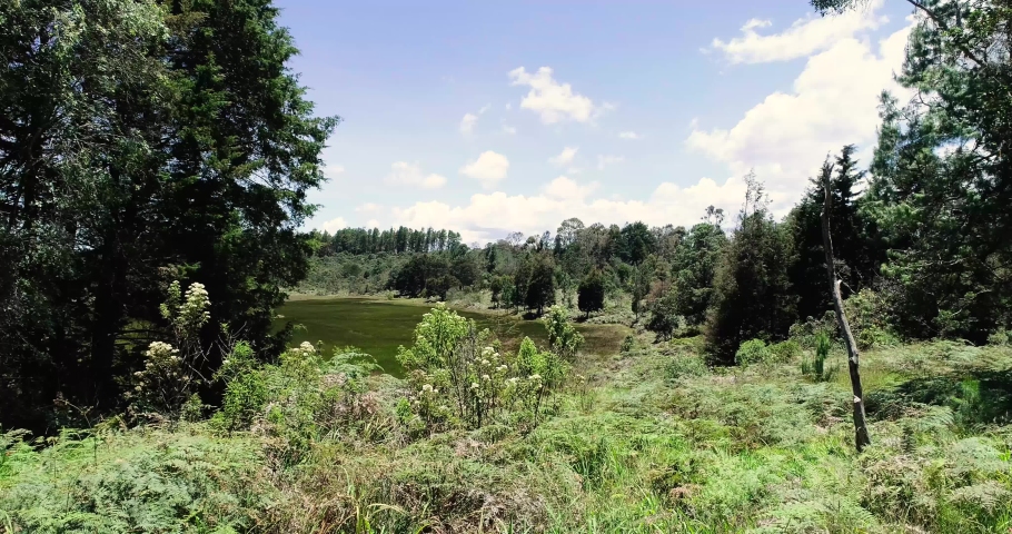 Unreal Green Forest, Wetland and Blue Guarne Lagoon near Medellin, Antioquia  Colombia