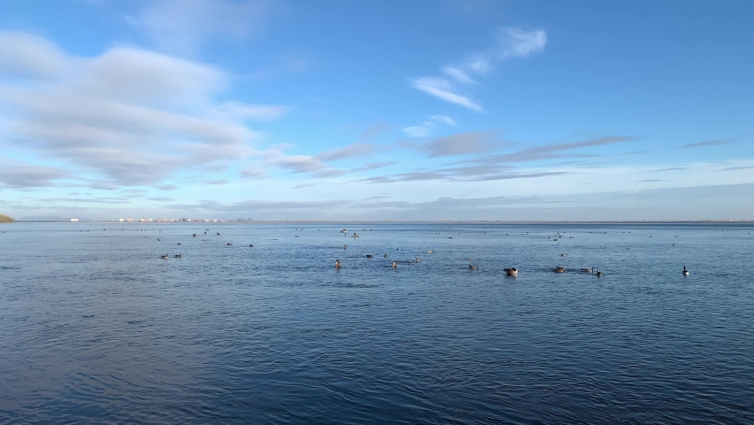 Saint Lawrence River in Canada, Quebec, Montreal 
