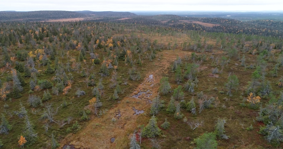 Aerial shot of bog and forest on an autumn evening in Riisitunturi National Park, Northern Finland