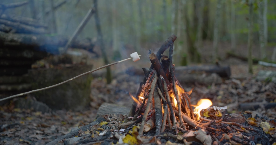 Cooking a marshmellow on stick close to a barbecue grill fireplace in a forest. Close up, panning, and sliding shot, real time, no people. Shallow depth of field, late evening in a European forest