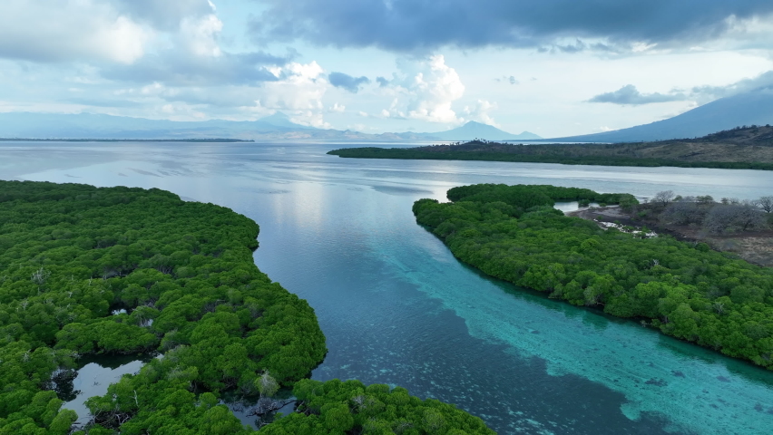 A narrow channel runs through a mangrove forest growing on a remote island in Indonesia. Mangroves provide important habitat for invertebrates, fish, birds, and fruit bats. Royalty-Free Stock Footage #1096339047
