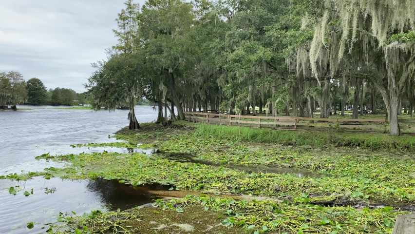 Hillsborough River State Park in Tampa Bay Florida USA On Cloudy Day, Natural Watercourse Green Swamp Surrounded by Trees with Hanging Moss and Destroyed Vegetation after Hurrican Ian