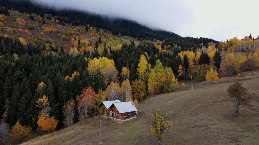 cute wooden chalet among colorful trees.amazing autumn landscape aerial shot.