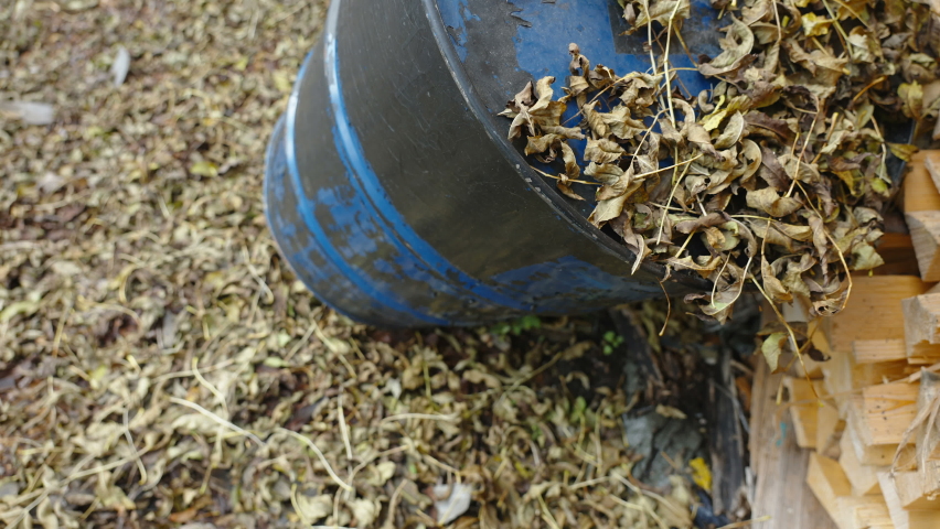 The top view of the gasoline container barrel with the dried leaves on top in Estonia