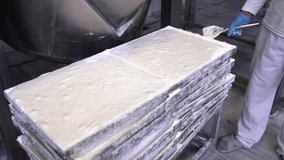 Video of Turkish delights standing on a machine in a Turkish delight factory. confectionery factory, workshop production of Turkish delight. 