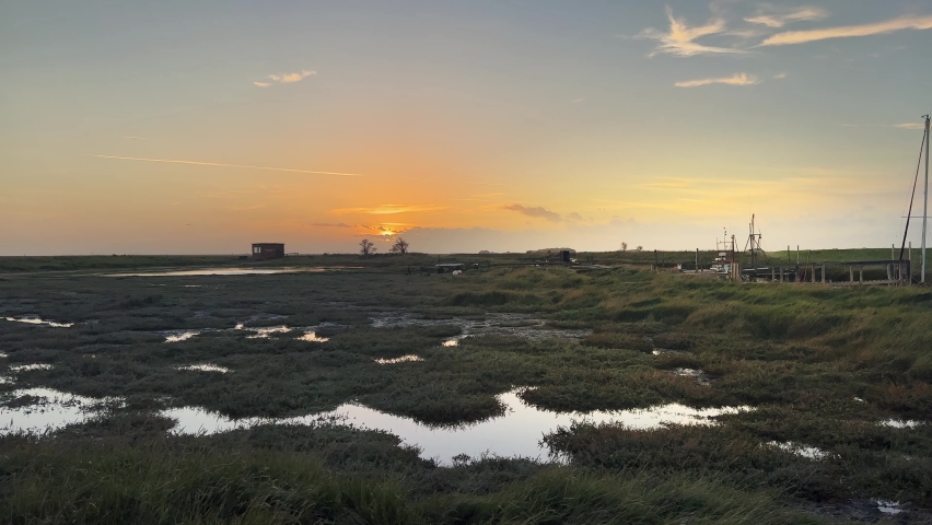 Golden autumn sunset view of bog shallow marshlands lands with a small red marsh, tidal plants, Coastal scene with golden sunset, Ducks, foul, birds, shallow rippling water, and plant life.