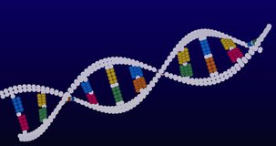 Animation of dna strand over data processing on black background. Global science, computing and digital interface concept digitally generated video.