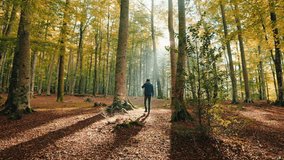 Boy walks with vr viewer in the mountains in Autumn - Powered by Shutterstock - Get 15% off with code: PIKWIZARD15