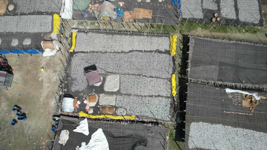 Fish farm where fresh caught fish is drying in the sun 