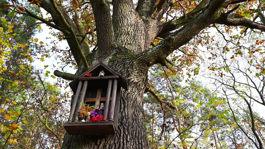 A wooden Catholic chapel on a tree in autumn, Virgin Mary