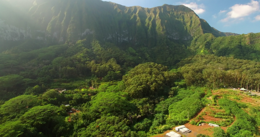 Aerial Tilt Down Shot Of Houses And Amidst Green Trees On Oahu Island