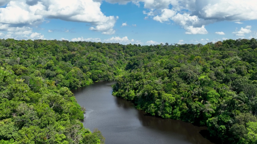 Amazonian Rainforest At Manaus Amazonas Brazil. Biodiversity Amazon Jungle Tourism. Outdoor Biodiversity Riverside Amazon River Green Sky. Vacation Travel Biodiversity Sky. Manaus Amazonas Rivers | Shutterstock HD Video #1096415129