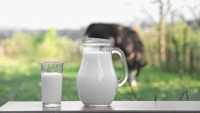 A natural vegetarian drink in the countryside. Fresh milk in carafe and glass on a wooden table with a cow in the background. A delicious breakfast diet made from dairy products. Farm natural product - Powered by Shutterstock - Get 15% off with code: PIKWIZARD15
