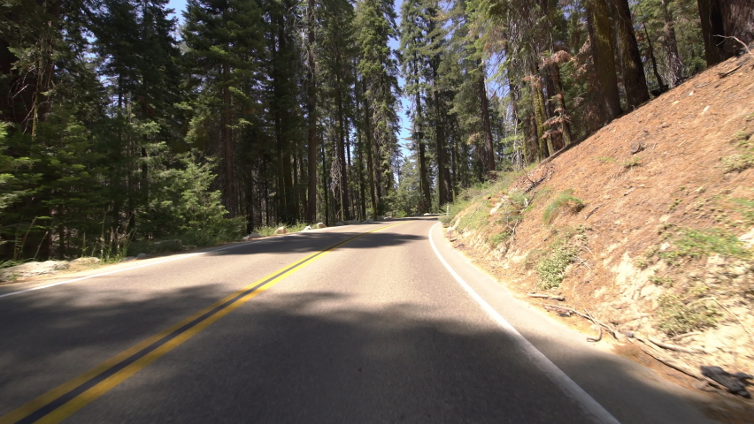 Sequoia National Park Driving Plate Generals Highway Eastbound Giant Forest 04 In Sierra Nevada Mts California Royalty-Free Stock Footage #1096428873