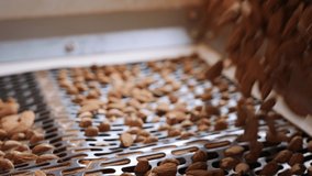 Almonds on a vibrating sorting machine in an industrial food processing facility. Slow motion footage