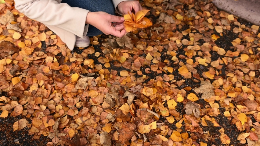 View from above of a woman, a loving mother and her adorable cute daughter picking a bouquet of dry fallen leaves, while enjoying relaxing and walking together in a forest park on a warm autumn day