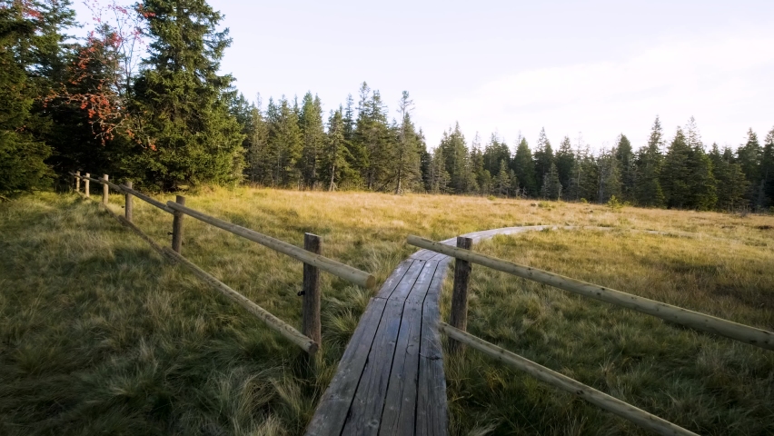 Push in Shot of Walking on Wooden Hiking Trail Surrounded With Conifer and Pine Forest, Gates. Entering the Park, Field, between Lovrenska Lakes and Rogla Ski Resort. Maribor pohorje Hills, Slovenia.