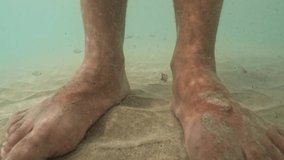 Slow motion underwater pov of small hungry fish eating human legs and feet skin in seawater. Pedicure concept