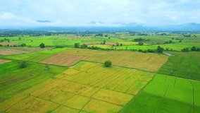 Aerial video of drones flying over rice fields and beautiful landscapes (Chiang Mai Province, Thailand). mountains in the background. Fresh green scenery. nature background. 4k
