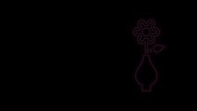 Glowing neon line Flower in vase icon isolated on black background. 4K Video motion graphic animation.