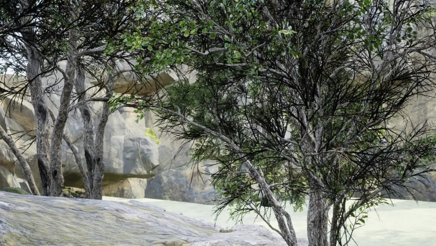 Unreal sequences in the forest 