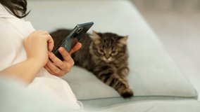 attractive woman sitting on the sofa and reading online morning news on smartphone. a cat is resting in the background. cozy relaxed atmosphere