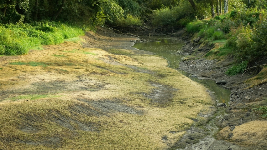 Drought river cracked crust soil stream cracks dry wetland desertification, swamp creek rivulet drying up degraded earth degradation extreme, environmental disaster earth, death climate change Europe Royalty-Free Stock Footage #1096516123