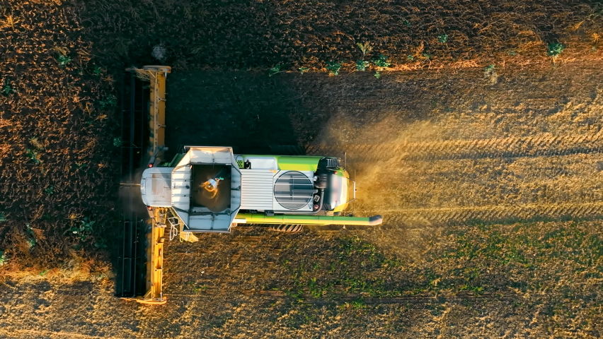 Harvesting Soybeans, Aerila top view A combine harvester on a field harvesting soybeans. Royalty-Free Stock Footage #1096516963