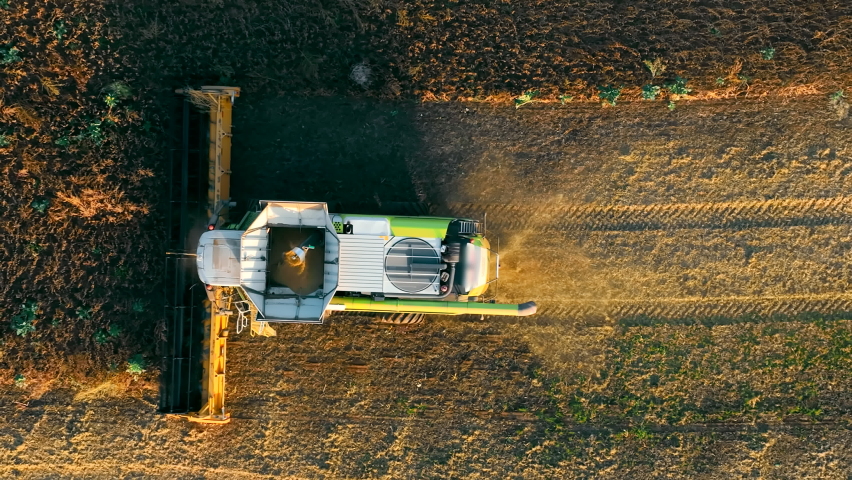 Harvesting Soybeans, Aerila top view A combine harvester on a field harvesting soybeans. Royalty-Free Stock Footage #1096516963