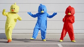 Cinematic video of friends wearing funny bird costumes having fun outdoor in a parking lot. Colored mascots dancing and making party outside. representation of carefree and freedom concepts